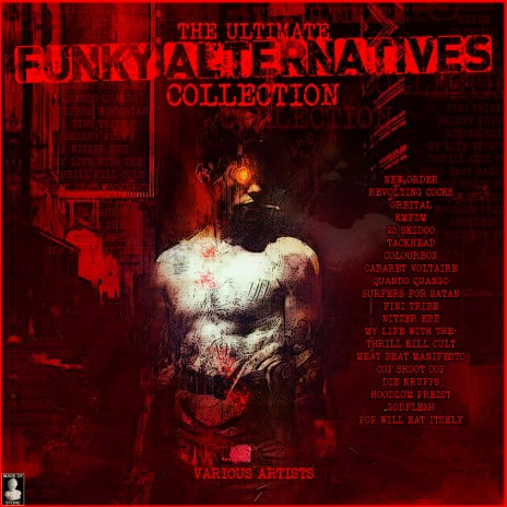 Shame (Flood 12 Remix) cover art