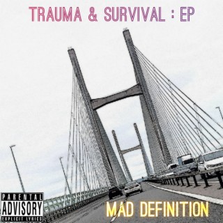 Mad Definition