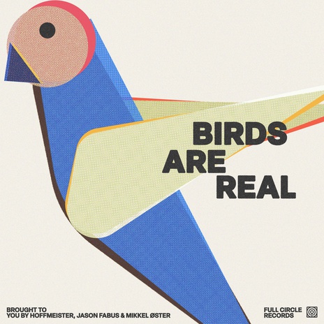 Birds Are Real ft. Jason Fabus & Mikkel Øster cover art