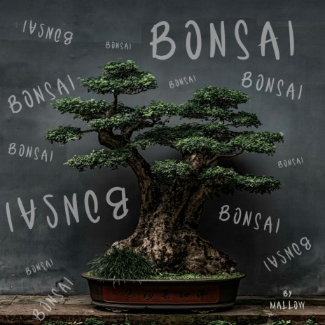Bonsai cover art