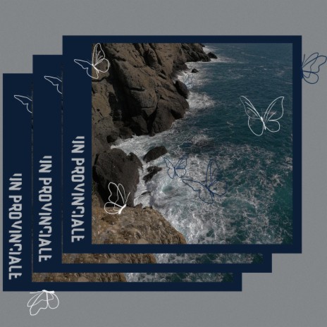 Un provinciale cover art