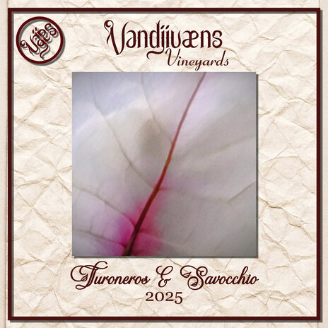 Tannat cover art