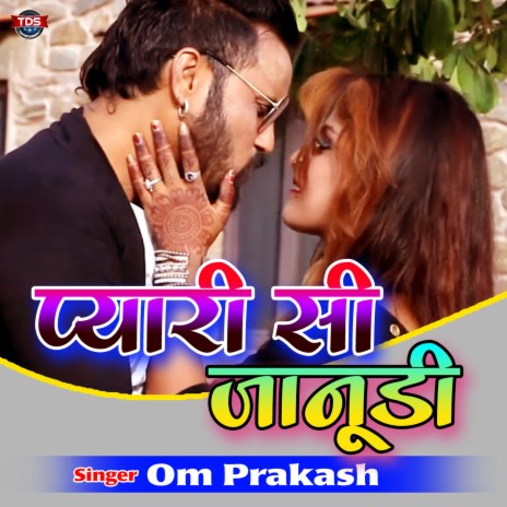 Pyari Si Janudi cover art