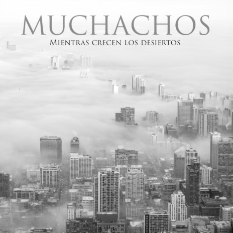 La Murga de la Virgencita cover art