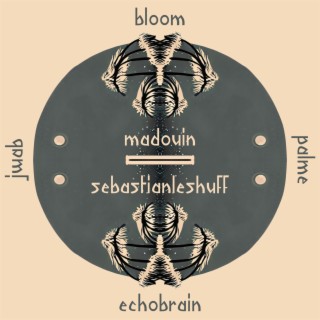 Bloom