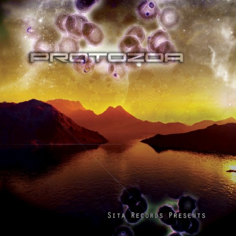 De Wereldoverbrugger (Original Mix) cover art