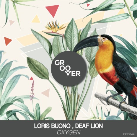 Oxygen (Radio Edit) ft. Deaf Lion cover art