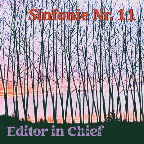 Sinfonie Nr. 11 cover art