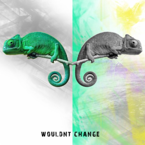 Wouldn't Change (feat. Nina Porter) cover art