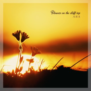 Flowers On The Cliff Top