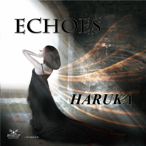 Echoes (Angel Dances Remix) cover art