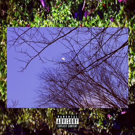 w i n t e r . cover art