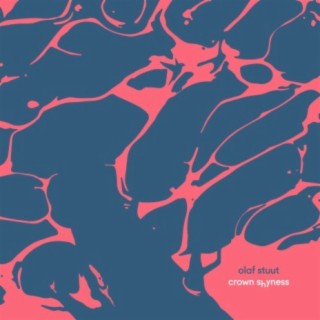 Canopy Conundrum cover art