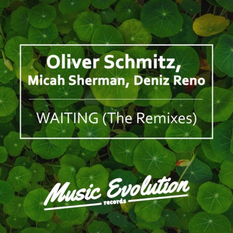 Waiting (Juloboy Remix) ft. Micah Sherman & Deniz Reno cover art