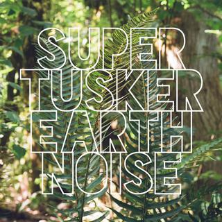 Earth Noise