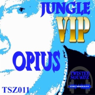 Jungle VIP (Original Mix) cover art