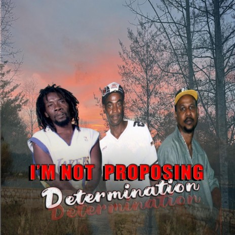 I'm Not Proposing (Live) cover art
