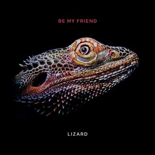 Lizard