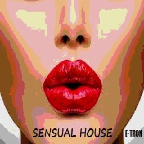 SENSUAL HOUSE cover art