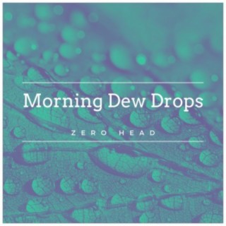 Zero Head