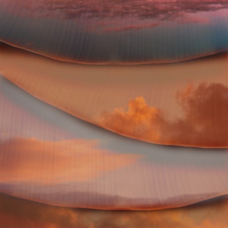 Within cover art