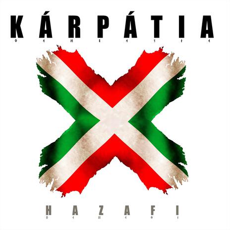 CSŰRDÖNGÖLŐ cover art