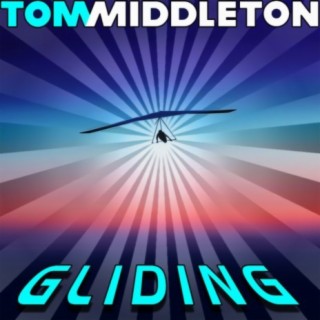 Gliding (Shur-i-Kan Remix) cover art