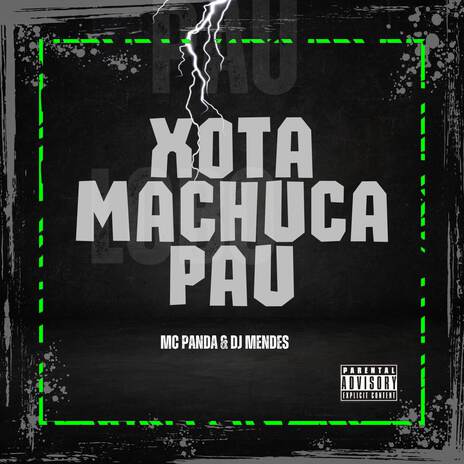 XOTA MACHUCA PAU ft. DJ MENDES cover art