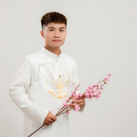 Trở Về Nam Đàn (Live) cover art