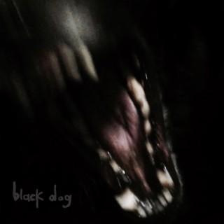 BLACK DOG