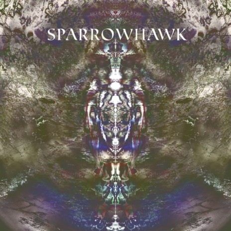 Sparrowhawk cover art