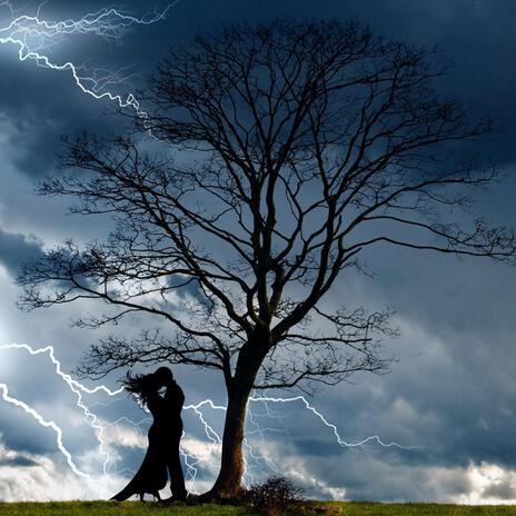 Perfect Storm cover art