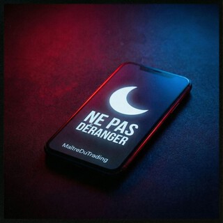 Ne pas déranger cover art