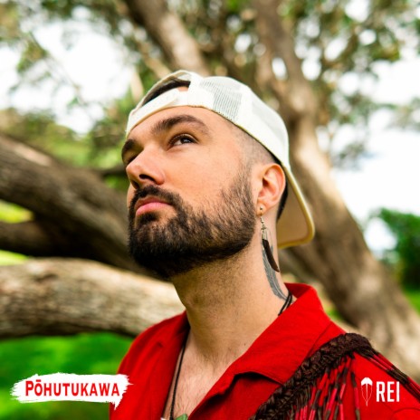 Pōhutukawa cover art