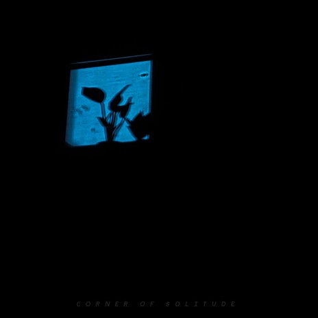 Corner of Solitude cover art