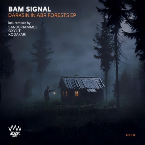 Darksin In Abr Forests (Oxylit Remix) cover art