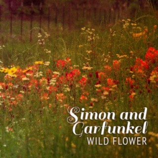 Simon and Garfunkel
