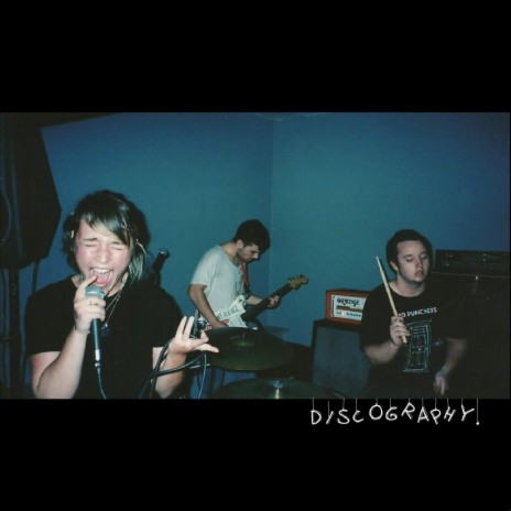 Pigture Perfect cover art