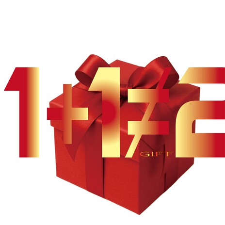 GIFT cover art