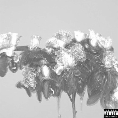 Let it Flow cover art