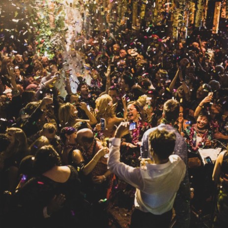 We Just Wanna Party cover art