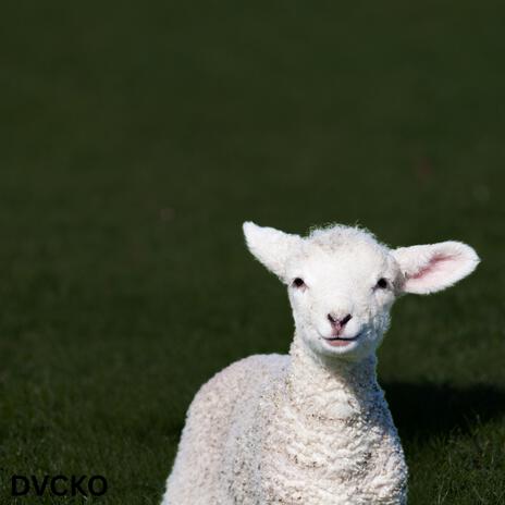 The Lamb cover art