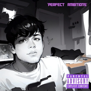 Perfect Ambitions