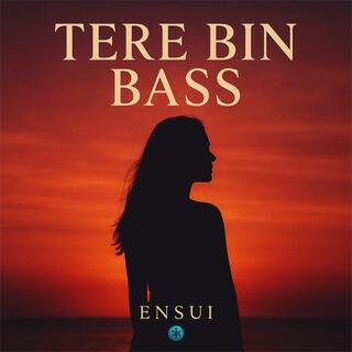 Tere Bin Bass cover art
