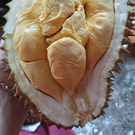 Durian wow