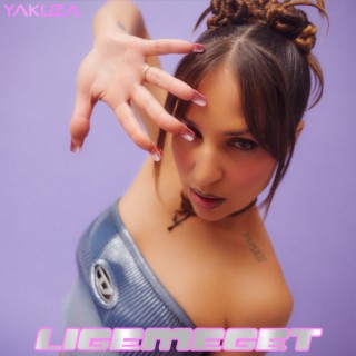 ligemeget cover art