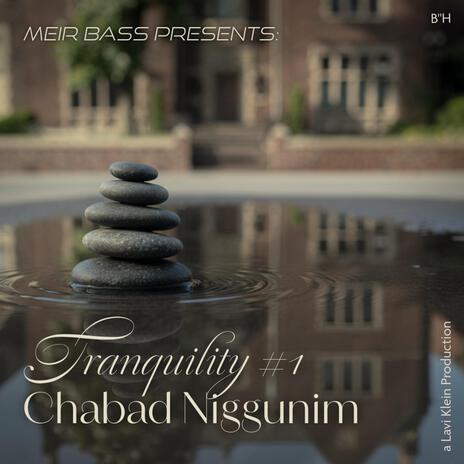 Reb Shlomo Chaim's Niggun ft. Meir Bass cover art