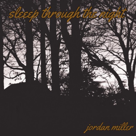 Sleep Through The Night cover art