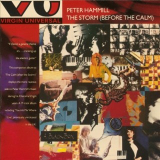 The Storm - Before The Calm