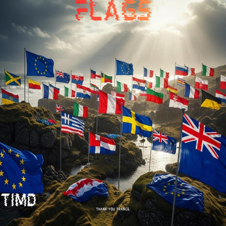 Flags cover art